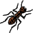 foraging ant