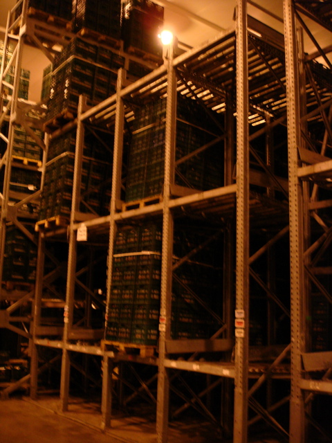 Back of pallet flow rack