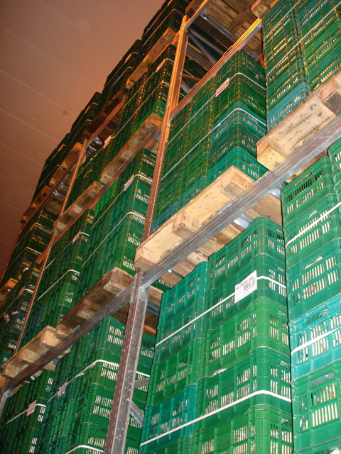 Most product is stored in pallet rack