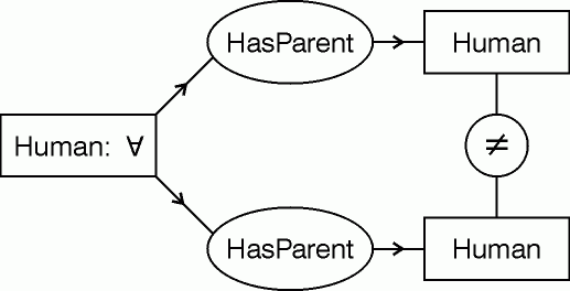 CG for 'Every human has two human parents.'